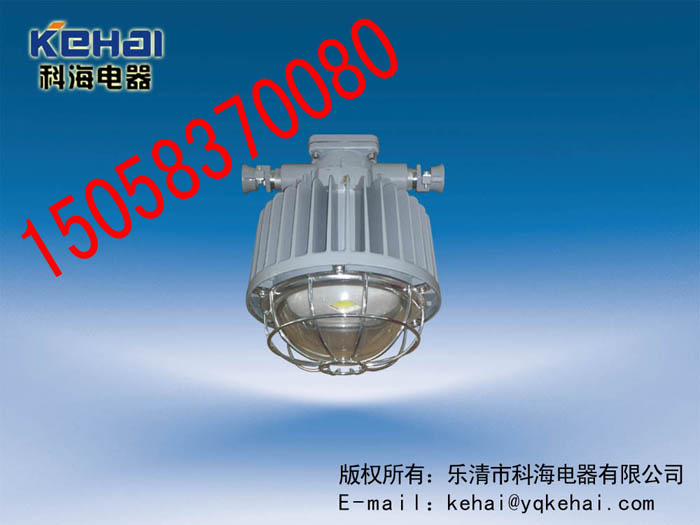 DGS50/127L(A)VøLED