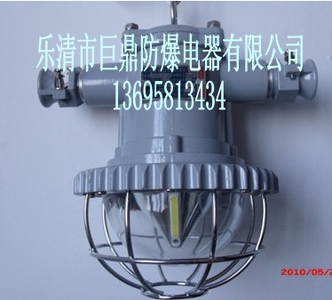 DGS12/127LVLED12W