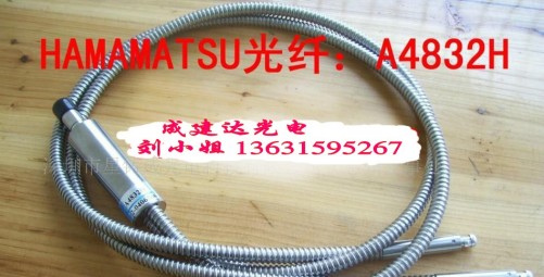 MձI2֧cԴwA4832HʯӢw