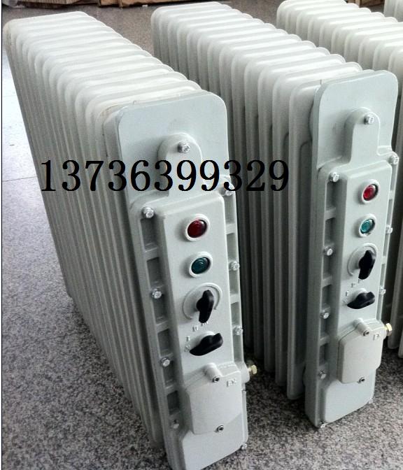 BDR-1.5KW/9YR͡ 늼ӟ9ƬɢƬ220V