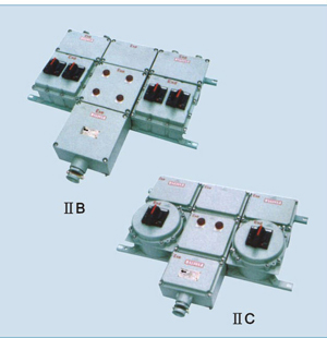 BXX51ϵзz(IIBIIC)