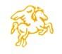 RC޹˾