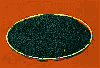 iɰVһ׷SoԹo
