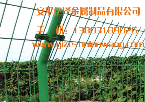 OzoھW|Ozo|OzoھWS|OzoھWҎ|DƬ|r