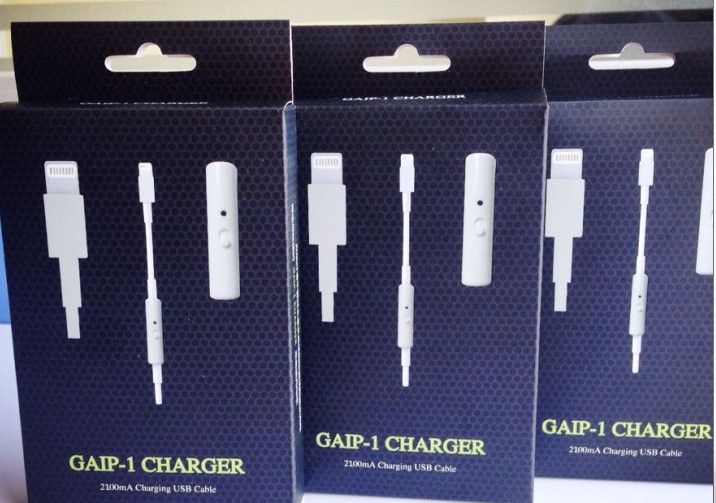 GAIP-1 CHARGERٳ֙C