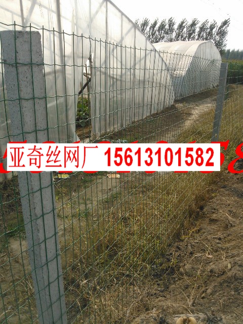 ƽɽBuFzW1.5*30׳ɾBֳmWXһ5u