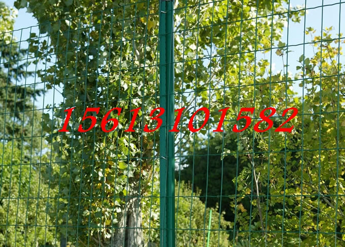ܿBuFzWS/ȦɽFzWƹ؛̡FzWIһһ