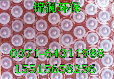 ӱҺ渲wr