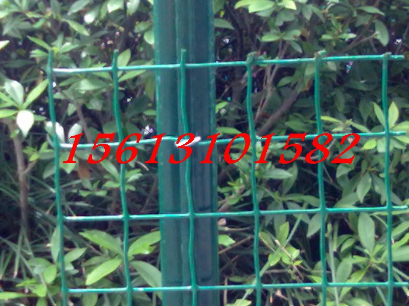 LγغomWS&xй@˺mW30һ|10꡿