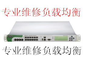 AppDirector101SؓdSRadwareS