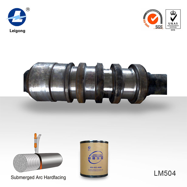 Ѻ-Ѻޏˎоz²LM504