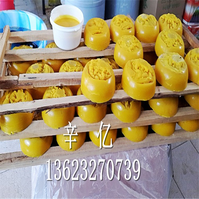 Ϟl|Ϟ|ϞܳԆ||ʢϞ