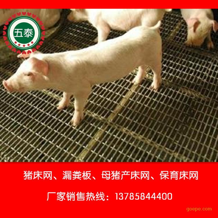 Bi䓾W&VBi䓾W&Bi䓾WS