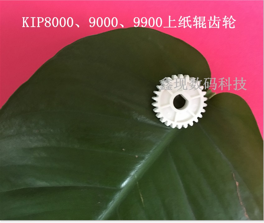 kip8/9/9900̏ӡC{DC݁X݆aֱNN