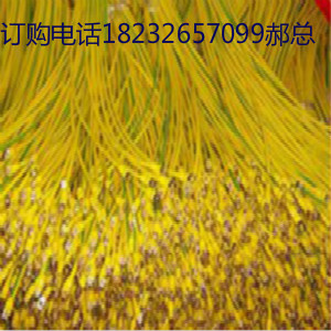 ̫늳ذBӾRV2.5ƽl