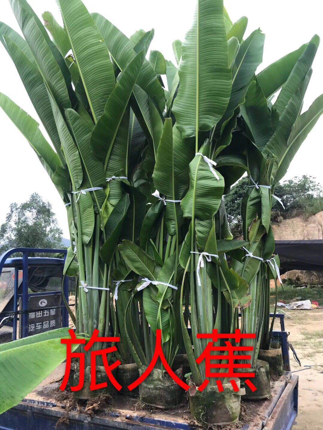 ˽@־GrľֱN