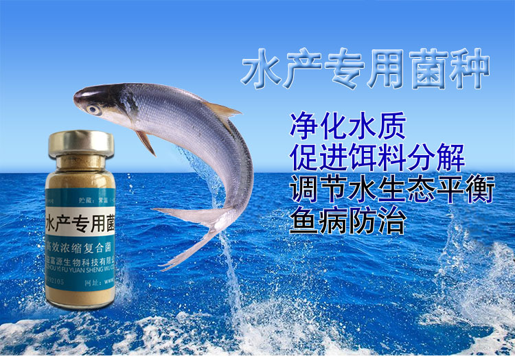 渻ԴˮaN{ˮЧÃr񃞻