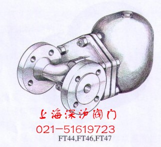 spiraxsarcoFT44ʽ˹ɳˮy˹ɳMˮy