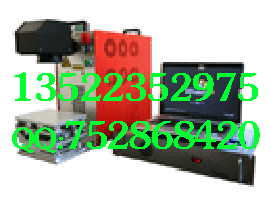 ANYMARK(a)w˙CAM-FL1510