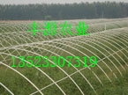 BֳǼܙCSԴrIƼ޹˾
