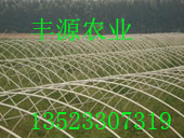 ๦ܴǼܙCꖴ֧ܙC߲˴ǼܙCSԴrI