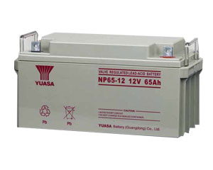 \늳NP65-12,\늳12V-65AHr