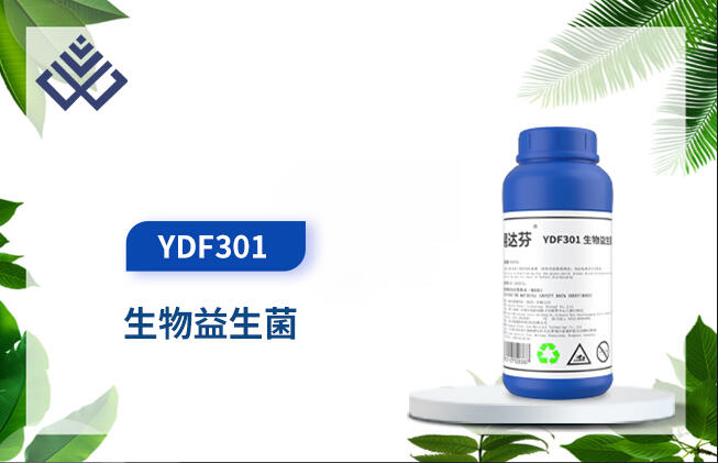 _YDF301