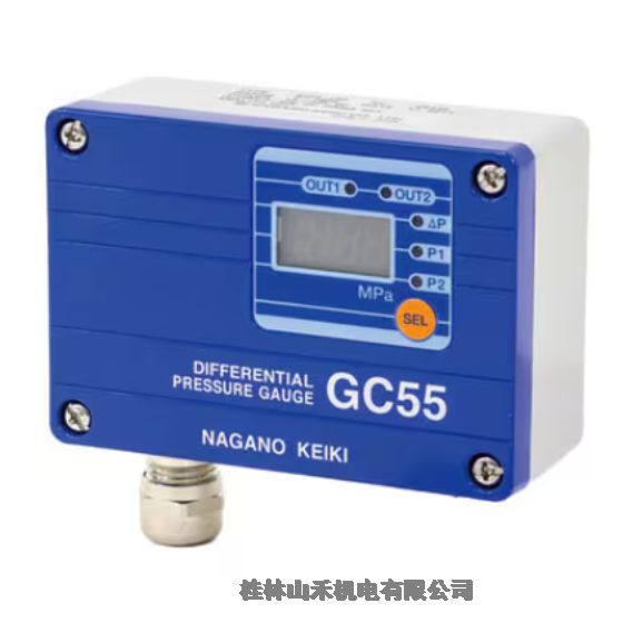 ݹձNKSLҰӋRӋGC55-160-G7NB000 0~1MPa