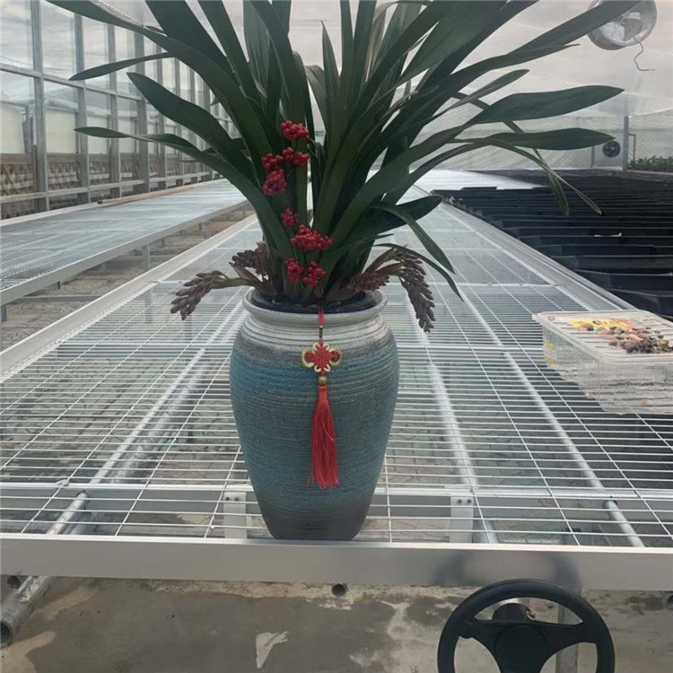 ʲôԽԽrxƄ紲