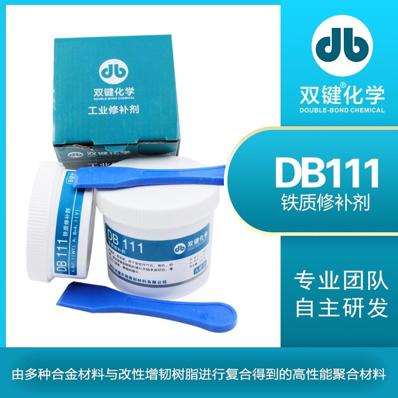 pIS DB111 ٹIF|a ĥpgޏTz