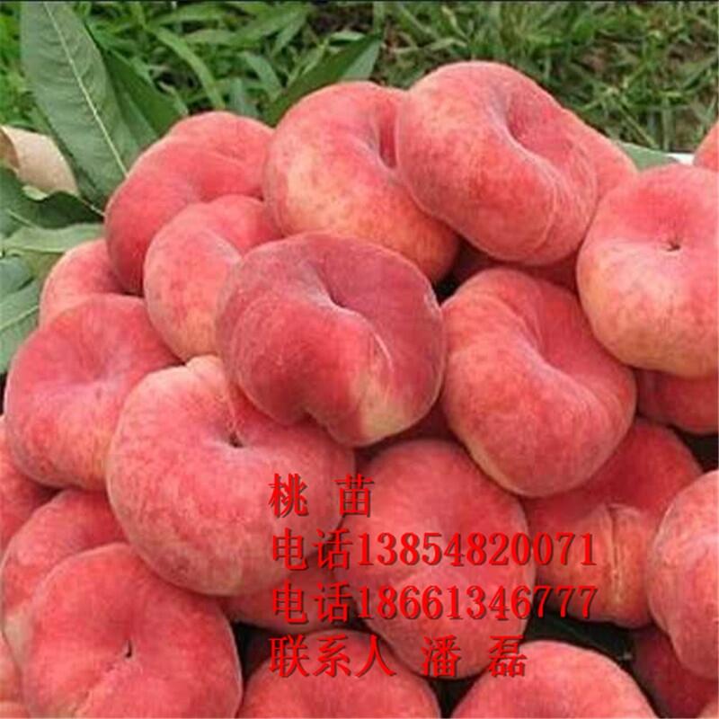 Ҙ硢ҘƷNҘr
