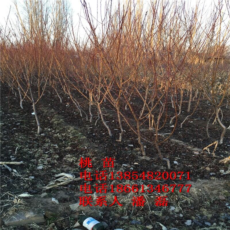 3Ҙ硢3ҘƷN3Ҙr