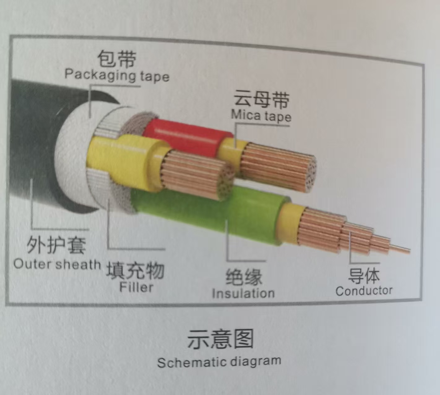 p~늾RVVP