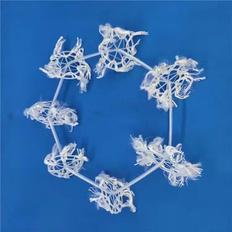 IHˮԺÿ϶ʸ߽MϳSr