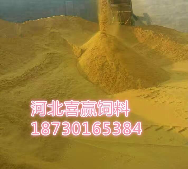 ddgs׾㹩