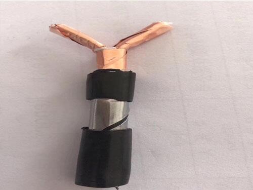 WD-YJV42úC20*1.5һ[2025Ѹ(/YӍ