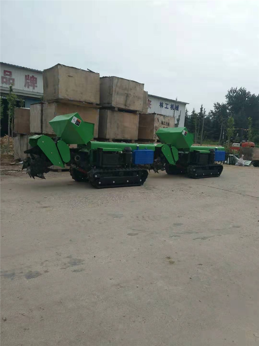 A^СCֹa