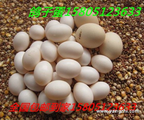 ӵôuurӵ