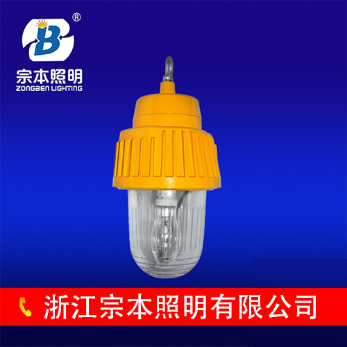 ƹVSƷ|C^uBFC8930