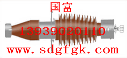 355651D BRDLW-110/630-3ͼʽ׃׹ 