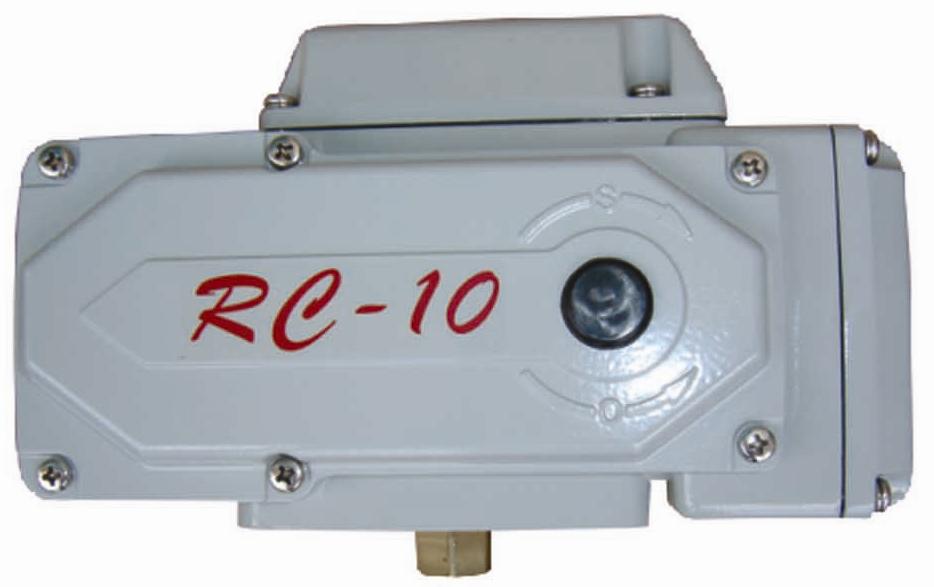 RC-10늄ӈRC-10늄ӈ