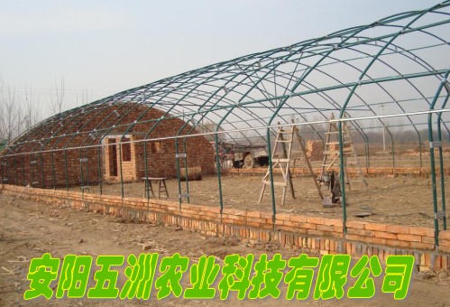 ͺϲϴǼܙC 䓹ܴ