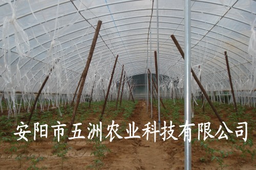 ͺϲϴǼܹ 䓹ܴǼܙC 