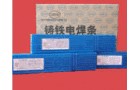 Z308TFl