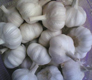 NӃ|߮aĴNӵărNӵ