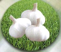 NN֮ЇN֮lĸ߮a