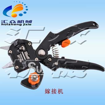 ޽әCھͷQQ1378696017   h
