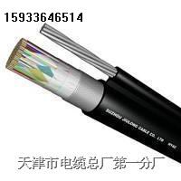 ԒCPEV l|CPEV-S 2020.8 25