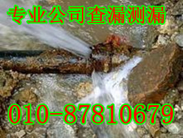 ƽ^޴حܵzyح87810679