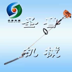 ๦ܸ֦֦   ɽ|ʥCе